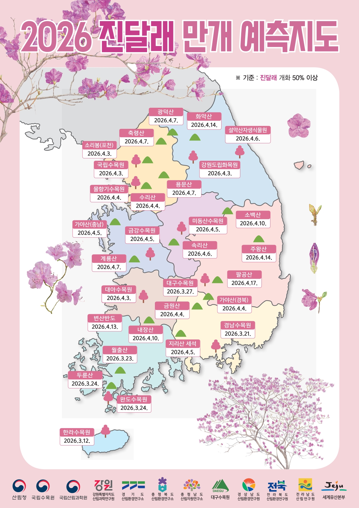 진달래 만개 예측 