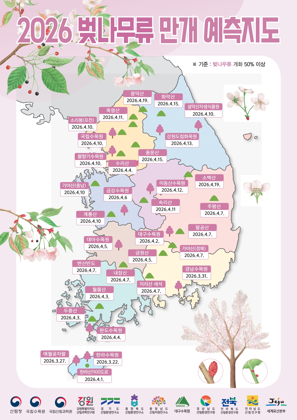 벚나무류 만개 예측 