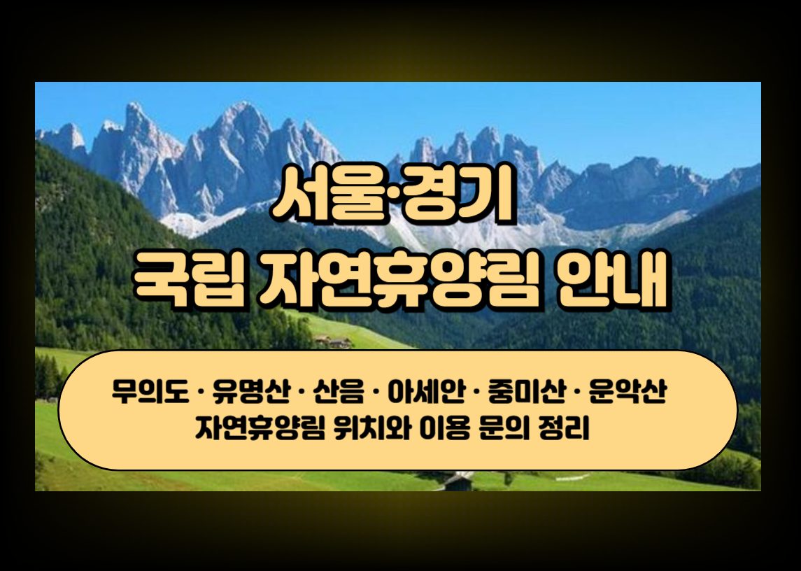 서울 경기권 자연휴양림 정보를 상징하는 숲과 산책로 이미지
