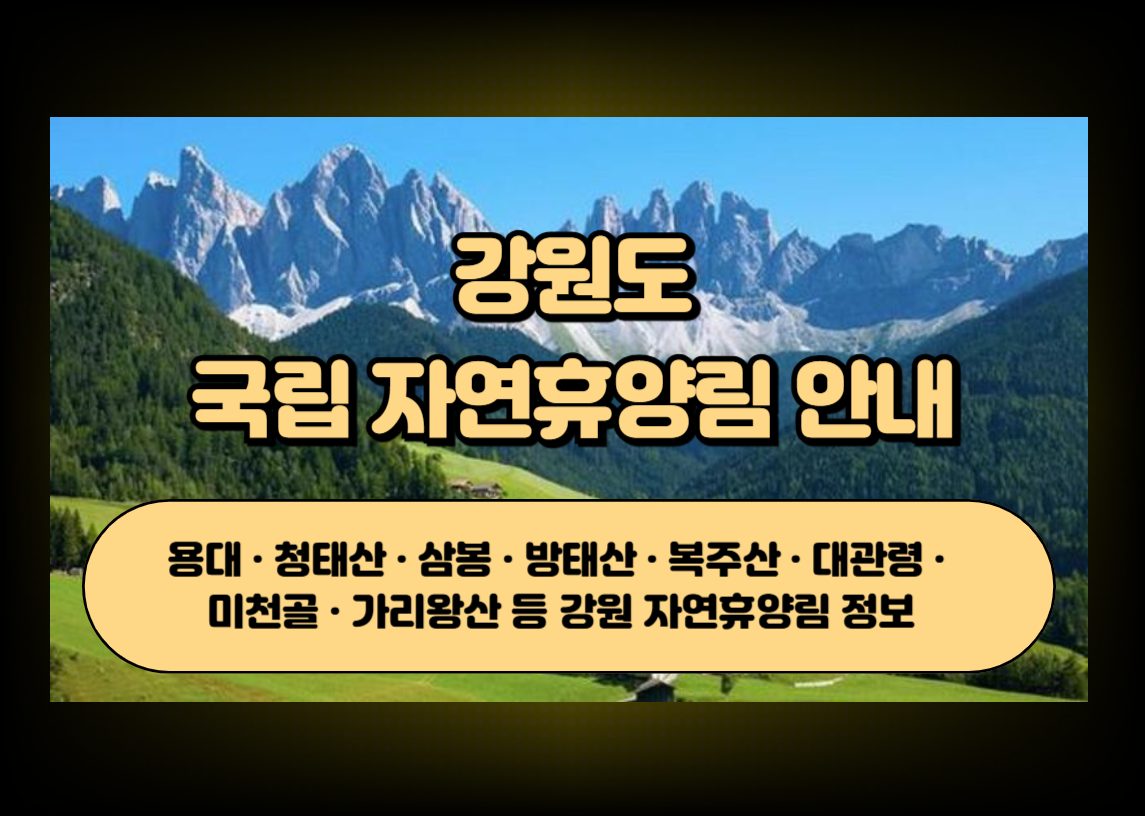강원도 자연휴양림 숲과 산 풍경을 상징하는 이미지