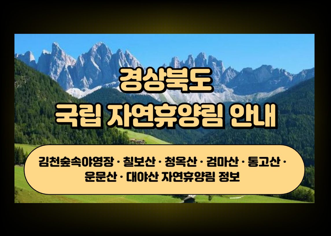 경북 자연휴양림 숲과 산 풍경을 상징하는 이미지